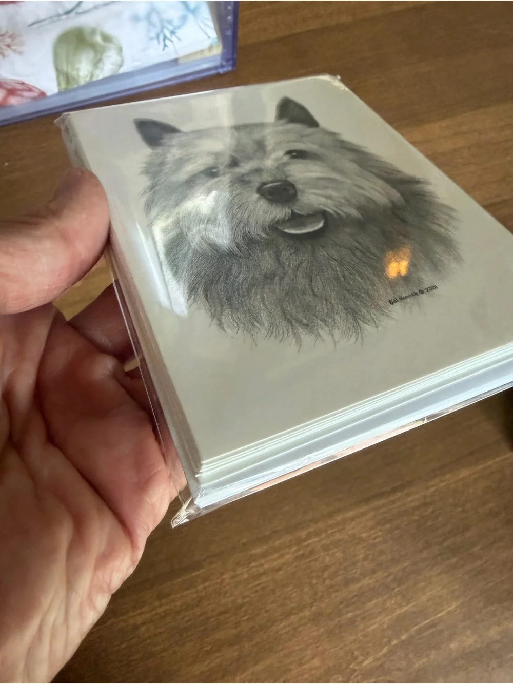Norwich Terrier Dog Note Cards (8) Fine Art Drawing